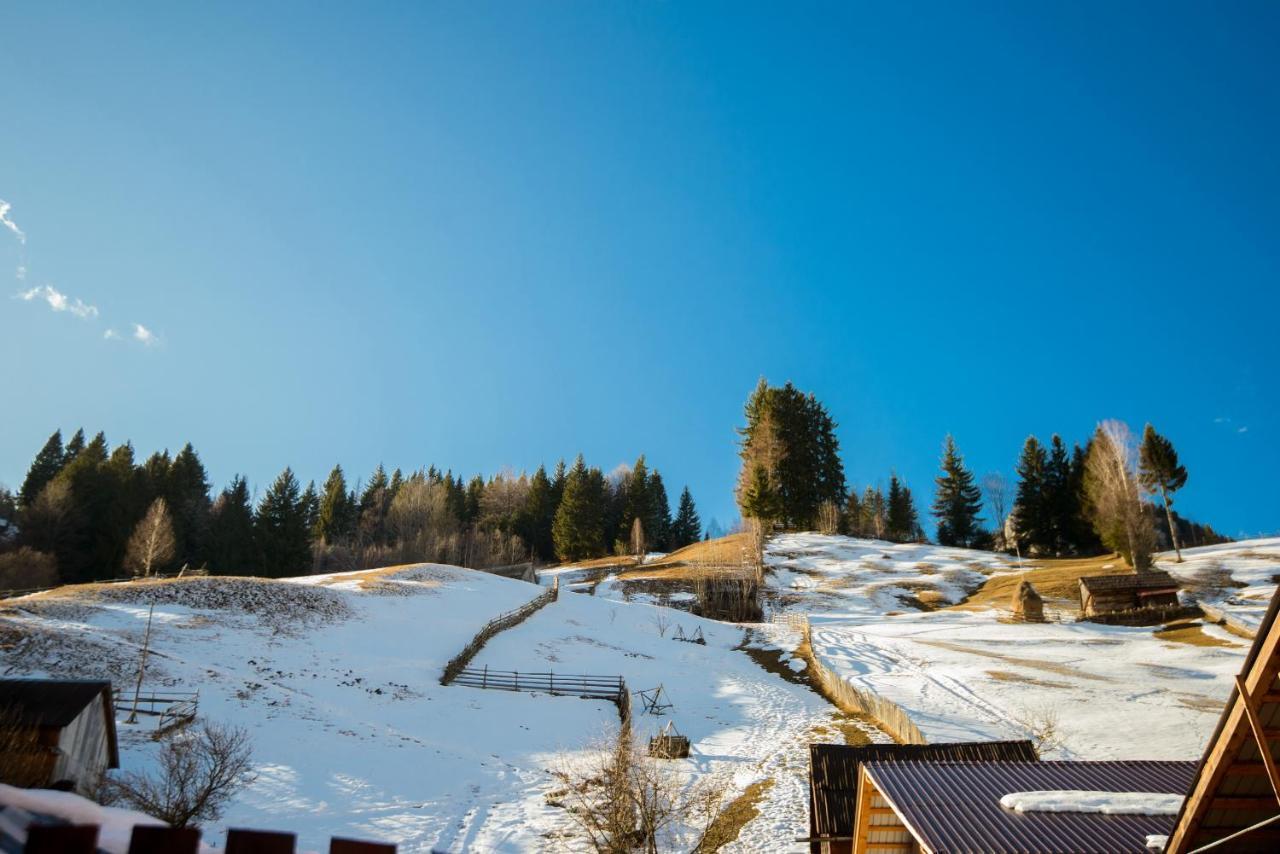 Vila Moecel Moeciu De Sus Zewnętrze zdjęcie