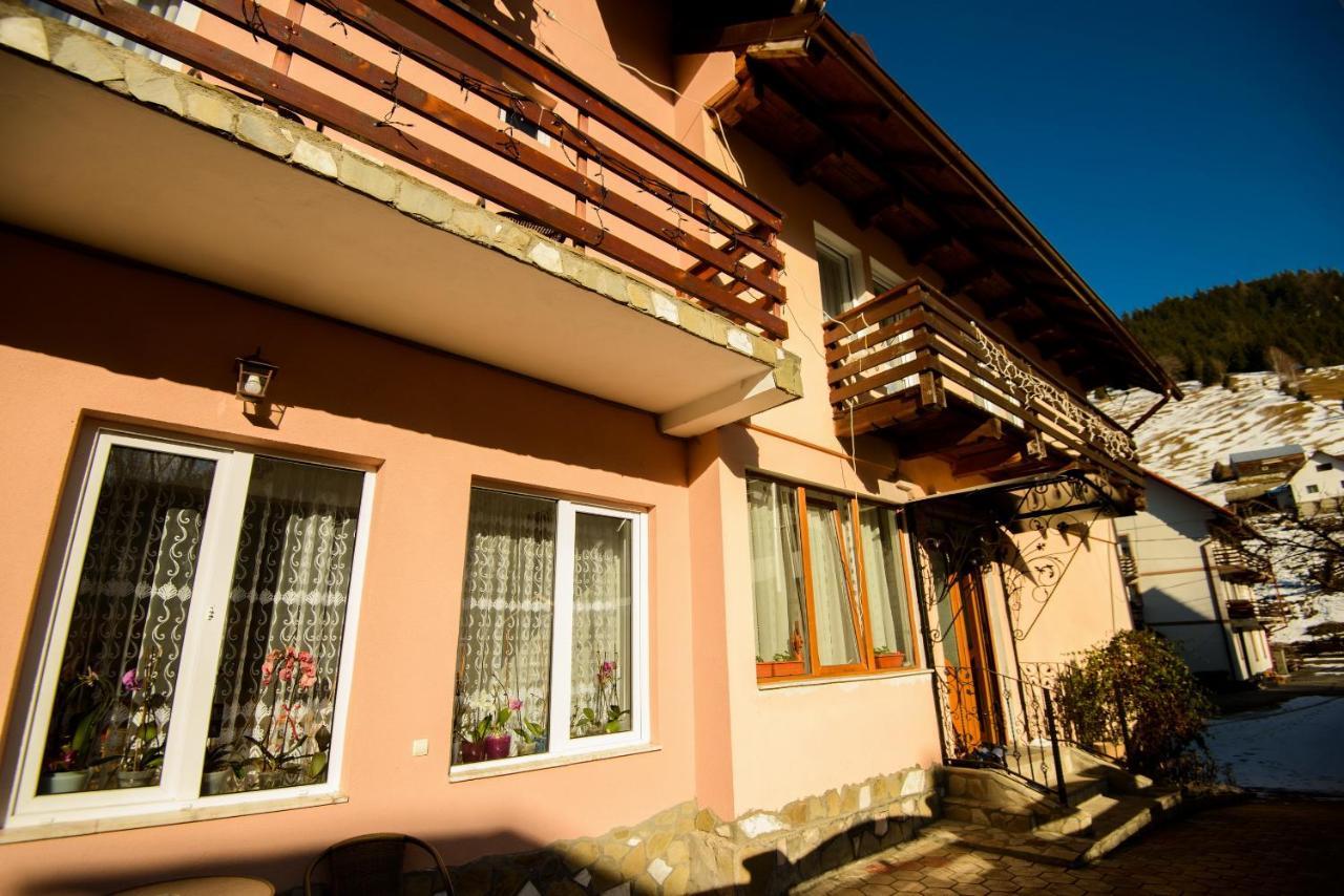 Vila Moecel Moeciu De Sus Zewnętrze zdjęcie