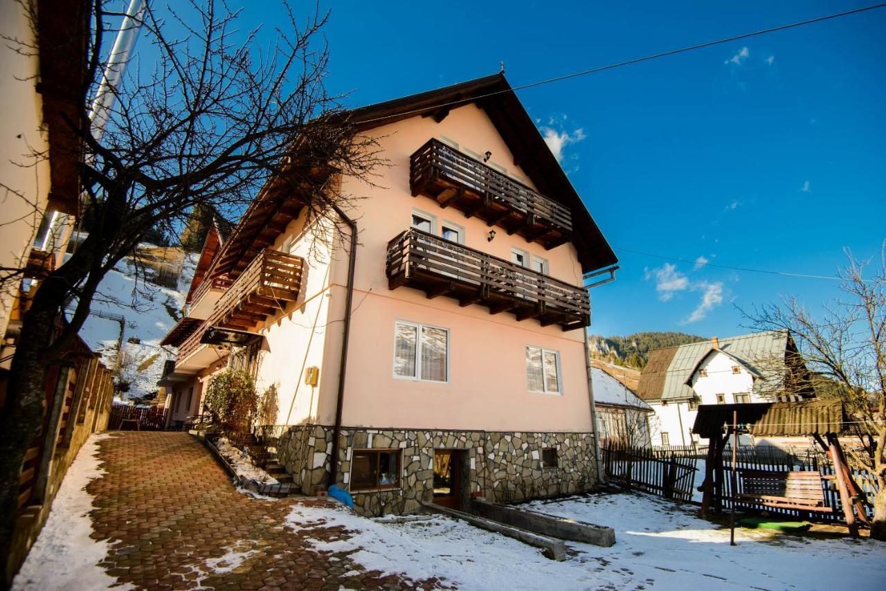 Vila Moecel Moeciu De Sus Zewnętrze zdjęcie